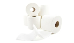 Toilettenpapier 2lagig 250 Blatt Zellstoff hochweiß Toilettenpapier 2lagig 250 Blatt Zellstoff hochweiß