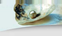 Aromen für Süßwaren Aromen für Süßwaren