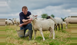 Aminosäuren Aminosäuren