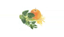 Fruchtkräuter Fruchtkräuter