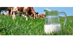Milky - rund um die Milch Milky - rund um die Milch