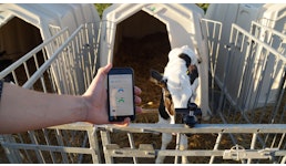 Calf Monitoring System Calf Monitoring System