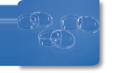 Petrischalen in Standardausführung Petrischalen in Standardausführung