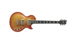 Gitarren und Bässe Gitarren und Bässe