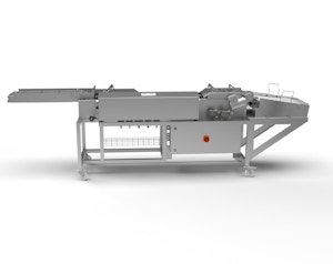Durchlauffritteuse DLA 300SC Durchlauffritteuse DLA 300SC