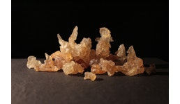 Gummi Karaya Gummi Karaya