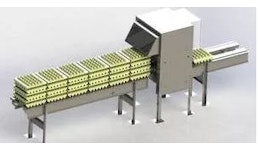 Höckerstapler Höckerstapler