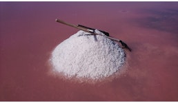 SIVASH-Meer-Badesalz, unraffiniert, naturbelassen, aus rosa an Beta-Carotin reichen Sole SIVASH-Meer-Badesalz, unraffiniert, naturbelassen, aus rosa an Beta-Carotin reichen Sole