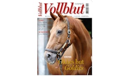 Magazin Vollblut Magazin Vollblut