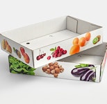 TRAYS TRAYS
