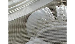 Taubenabwehr und Taubenbekämpfung Taubenabwehr und Taubenbekämpfung