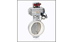 Warex Valve Absperrklappe DKZ 110 APS Warex Valve Absperrklappe DKZ 110 APS