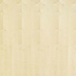 Furnierspan Ahorn europäisch Furnierspan Ahorn europäisch