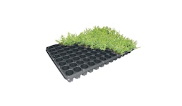 Jungpflanzen- / Baumschulpaletten - BP 2850-2,5/104 T - Serie BP Jungpflanzen- / Baumschulpaletten - BP 2850-2,5/104 T - Serie BP