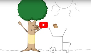 ROHRINDE- UND RINDENMULCH (PEFC-ZERTIFIZIERT) ROHRINDE- UND RINDENMULCH (PEFC-ZERTIFIZIERT)