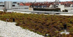 DACHBEGRÜNUNGEN DACHBEGRÜNUNGEN