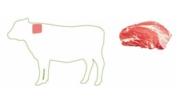 Chuck - Nacken - Aguja - Basse-côte Chuck - Nacken - Aguja - Basse-côte