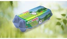 Frische Freiland-Eier Frische Freiland-Eier