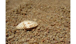 Geologie Geologie