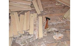 Holzschutz und Schwammsanierung (Pflanzliche Holzschädlinge) Holzschutz und Schwammsanierung (Pflanzliche Holzschädlinge)