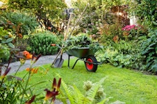 Pflege von Gartenanlagen Pflege von Gartenanlagen