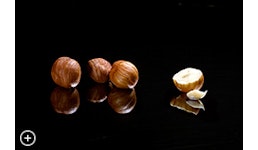 Haselnüsse «Runde Römer» Haselnüsse «Runde Römer»