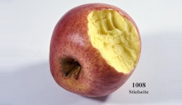Roter Apfel angebissen Roter Apfel angebissen