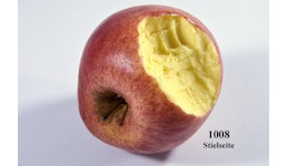 Roter Apfel angebissen Roter Apfel angebissen