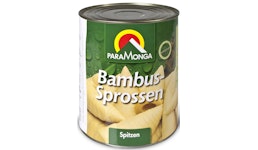 Bambus Bambus