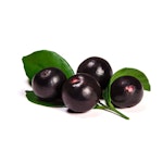 Acai Extrakt, Ratio Extract 10:1 Acai Extrakt, Ratio Extract 10:1