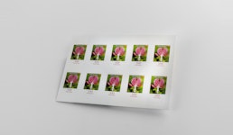 Postwertzeichen Postwertzeichen