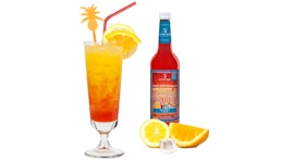 Tequila Sunrise Tequila Sunrise