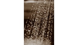 Fluidservice Fluidservice