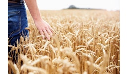BESTMIX® for Feed & Ration BESTMIX® for Feed & Ration