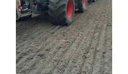 Apfeltrester trocken Apfeltrester trocken