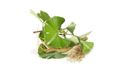 Ginseng-Ginkgo Kapseln Ginseng-Ginkgo Kapseln