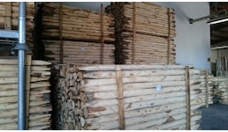 Holzpfähle Holzpfähle