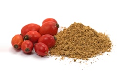 Hagebutten Hagebutten