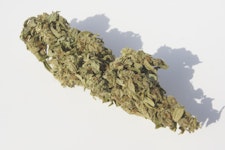 CBD-Blüten THC <0,2% CBD-Blüten THC <0,2%