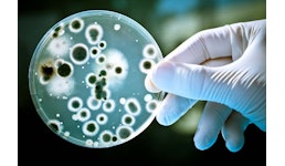 Kühlturm-Hygiene nach 42. BImSchV Kühlturm-Hygiene nach 42. BImSchV