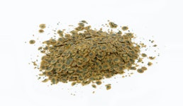 BIO Algenflocken BIO Algenflocken