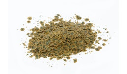 BIO Algenflocken BIO Algenflocken