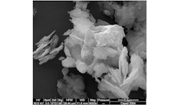 Capsil® Kaolin- Füllstoffe mit hohem Aspektverhältnis, weiße Bentonit-Füllstoffe, Bleistifttone Capsil® Kaolin- Füllstoffe mit hohem Aspektverhältnis, weiße Bentonit-Füllstoffe, Bleistifttone