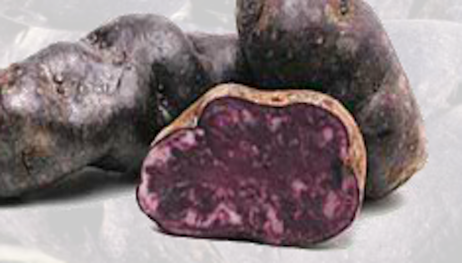 Hans-Willi Böhmer Verpackung und Vertrieb GmbH & Co. KG in