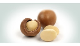 Die Macadamia Die Macadamia
