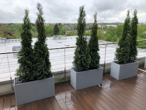 Pflanzgefäße für Freilandpflanzen mit Hydro Profi Line System Pflanzgefäße für Freilandpflanzen mit Hydro Profi Line System