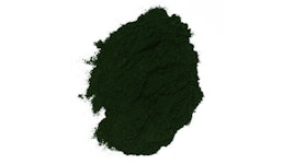 Spirulina Pulver, konventionell Spirulina Pulver, konventionell