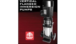 Vertical flanged immersion pumps Vertical flanged immersion pumps