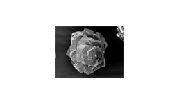 Aluminiumhydroxid (ATH) Aluminiumhydroxid (ATH)
