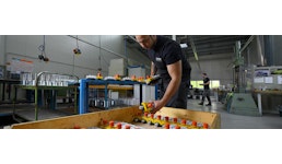 Elektrische Steuerungen Elektrische Steuerungen